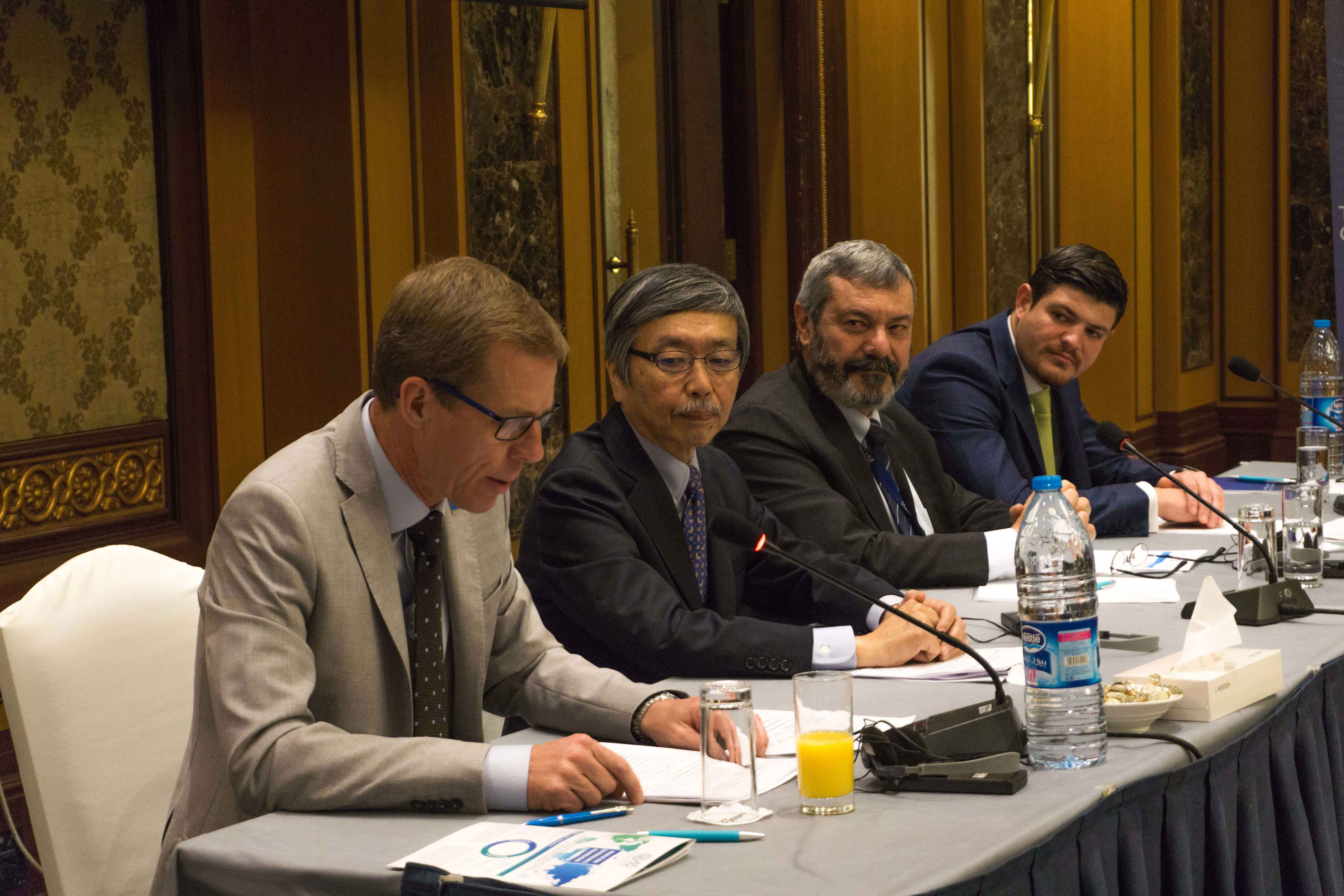 A roundtable discussion with Ambassador of Japan, Ministry of Foreign Affairs and Expatriates, and other UN representatives